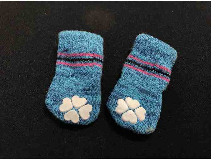 Teddy's Blue Socks (from our personal collection)