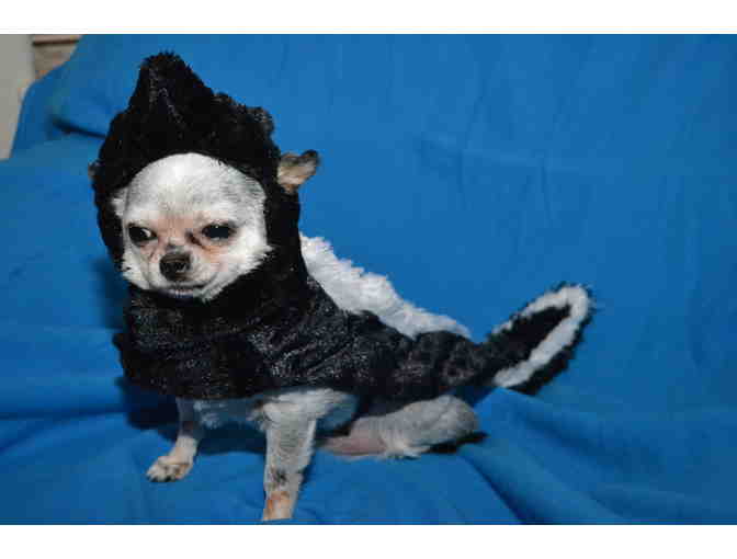 Teddy's Skunk Costume (from our personal collection)