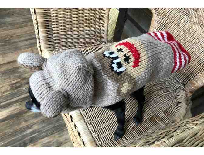 Frankie's Sock Monkey Sweater