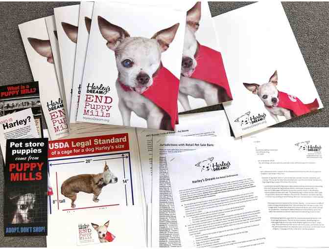 Fund a Need - Puppy Mill Education Packets - Photo 1