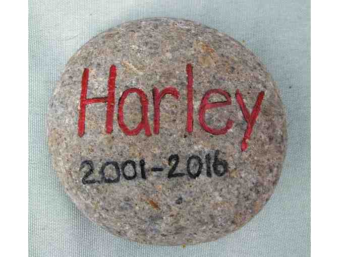 Harley Painted Rock