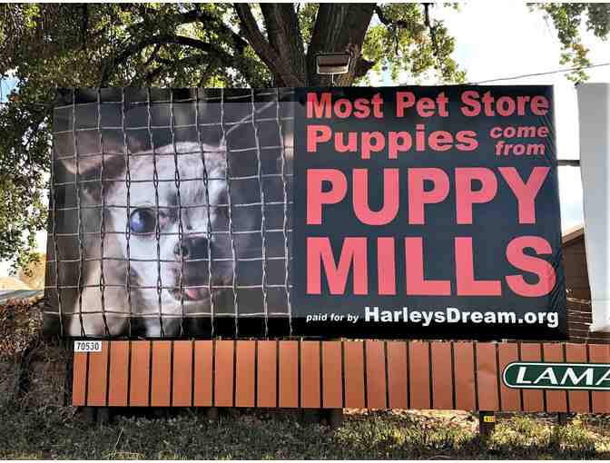 Fund a Need - Puppy Mill Awareness Billboard - Photo 1