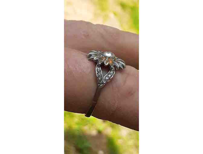 Thinking of Harley Ring