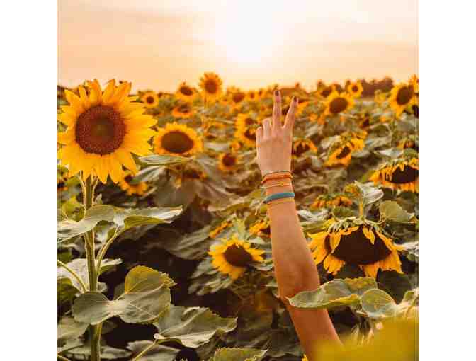 Dreaming Out Loud - Sunflower Bracelet Pack