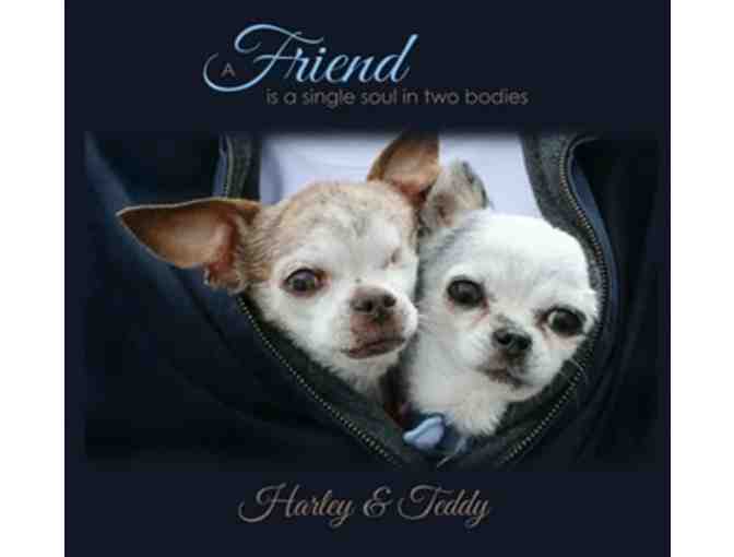 Friends Sterling Silver Photo Necklace