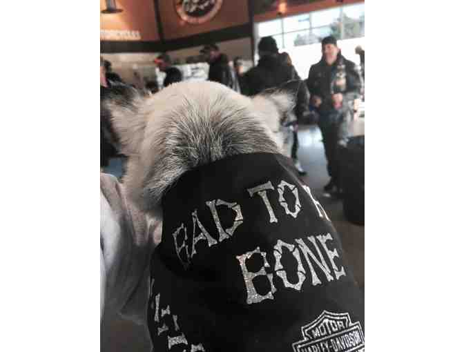 Bad to the Bone - Teddy's Bandana