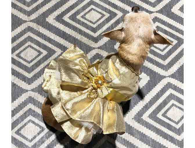 Beautiful Doggie Dress (by designer Ada Nieves)