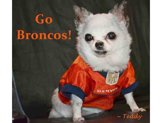 Denver Broncos Shirt - Teddy's Personal Collection