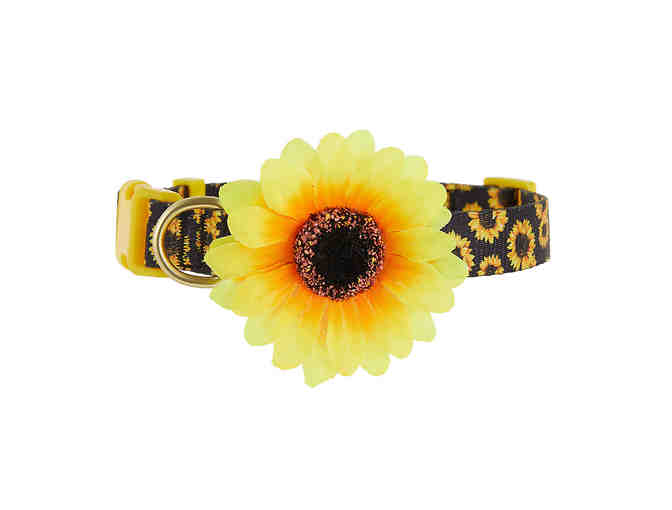 Sunflower Adjustable Dog Collar (XS)