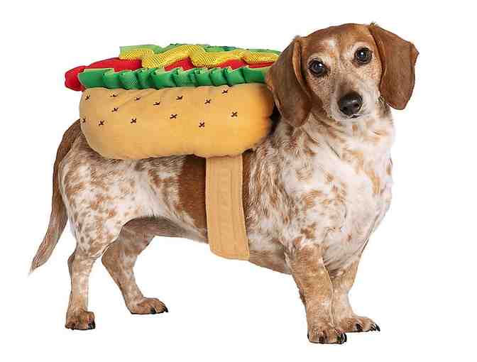 Hot Dog Dog Costume (size s)