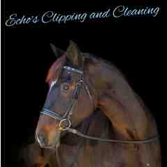 Echo's Clipping and Cleaning