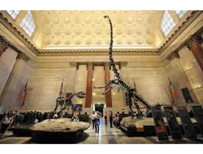 American Museum of Natural History (New York) - Photo 1