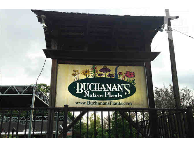 Gift Card to Buchanan's Native Plants