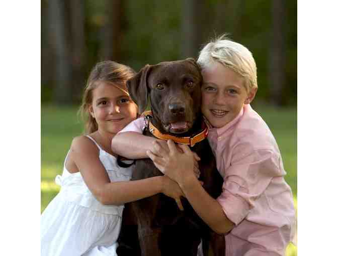 11x14 Family Portrait - Pets Welcome! - Photo 7