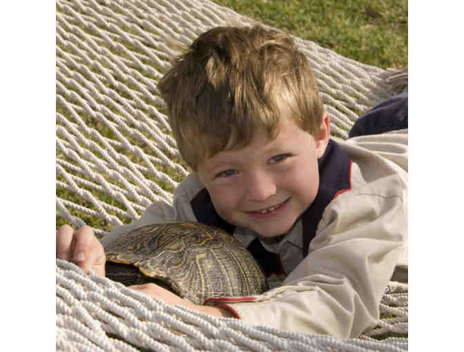 Robin Jackson Photography 8'x10' Family Portrait. Pets welcome!