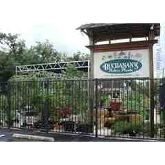 Buchanan's Native Plants