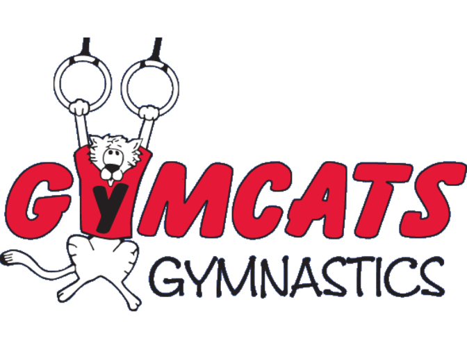 the Gymcats Gymnastics Total Experience