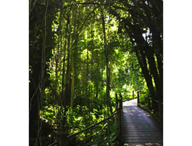 Four 1-Day Passes: Hawai'i Tropical Botanical Garden
