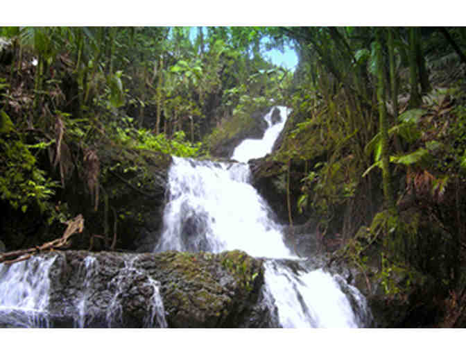 Four 1-Day Passes: Hawai'i Tropical Botanical Garden