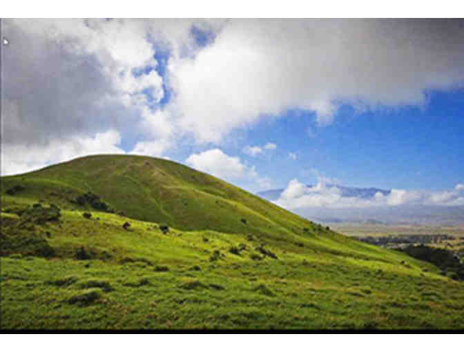 Bike Tour of historic Anna Ranch for Two
