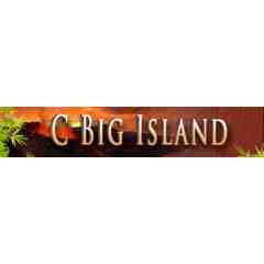 C Big Island Tours