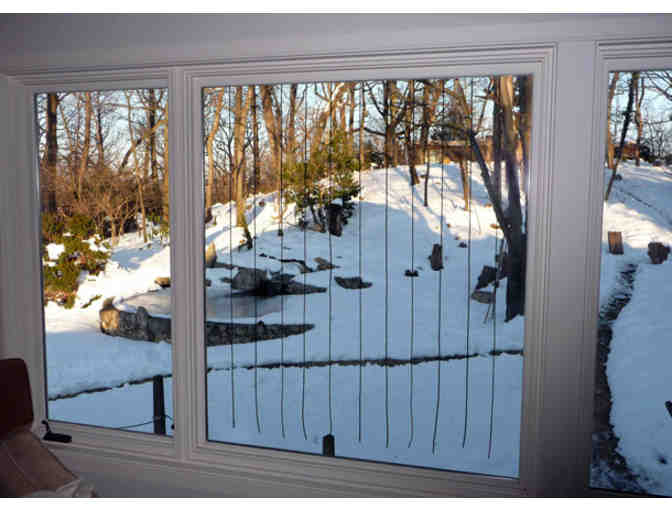 Prevent Window Bird Strikes at Home: Custom Acopian BirdSavers