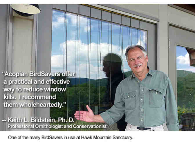 Prevent Window Bird Strikes with the Acopian BirdSavers-8