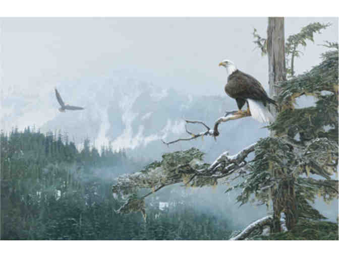 'Eagles Wings' Framed Print by artist Terry Isaac