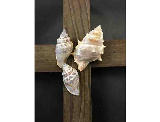 Wooden Cross with Shells