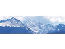 5 Nights for 6 people at the 4 Eagle Ranch