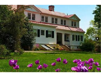 Manor House Tea and Tour