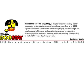 The Dog Stay Daycare Package