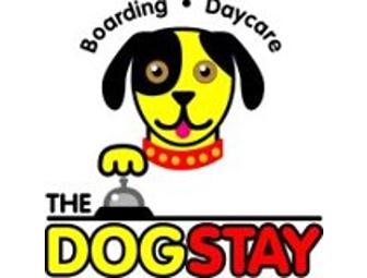 The Dog Stay Daycare Package