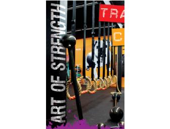 Art of Strength Training Rope & DVD