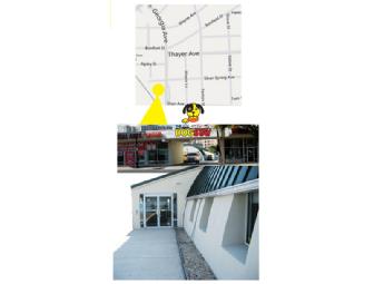 The Dog Stay Daycare Package