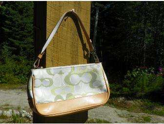 Sweet Little Coach Purse