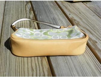 Sweet Little Coach Purse