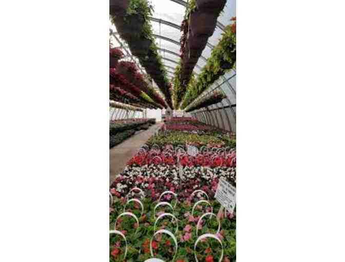 Springbank Greenhouses Gift Certificate