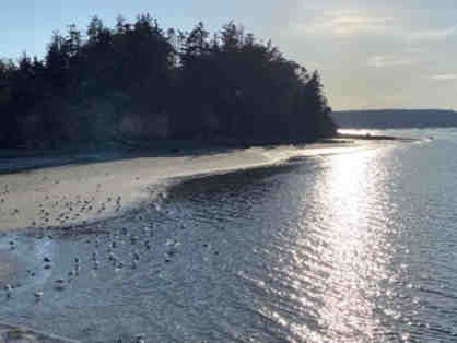Whidbey Island Experience - Includes lunch at Hedgebrook, accommodations and more!