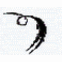 Mini-Hops Gymnastics