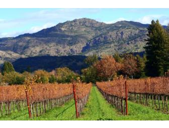 Napa Valley Wine Country Experience - Lot 1