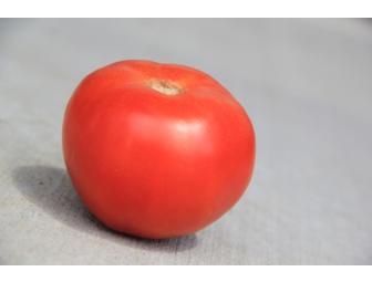 World's Most Expensive Tomato