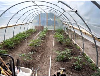 Buy a Hoop House for The Arkansas Delta - 'Buy it Now' Item