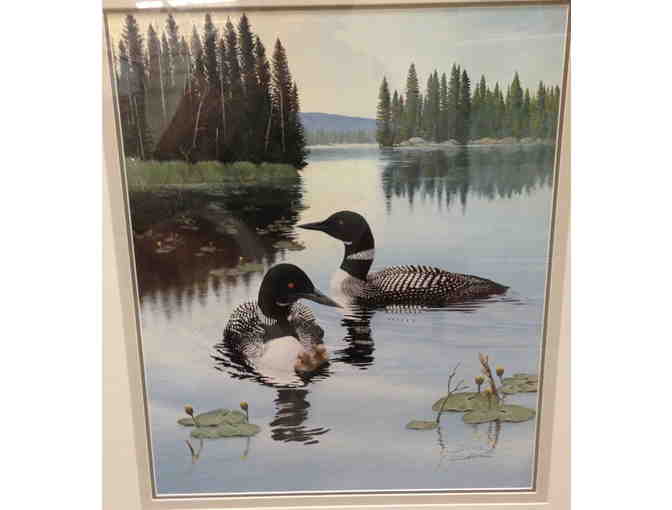 Loon Family Framed Print, Signed by Artist