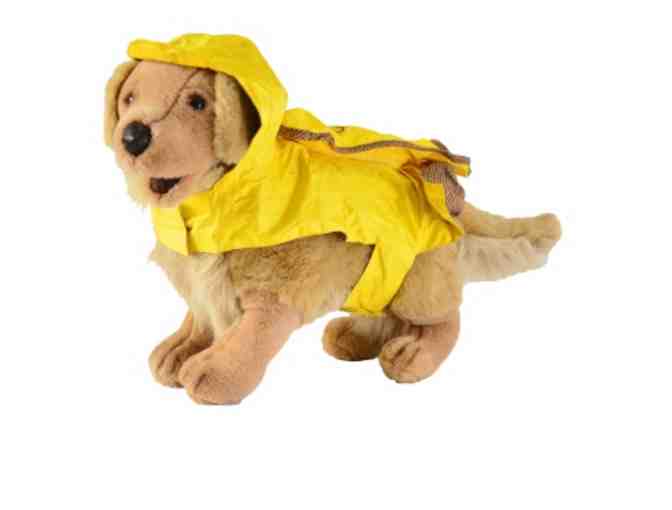Dog Raincoat - Outback Trading Co Dingo 'Pak-a-Roo' (Size Small)