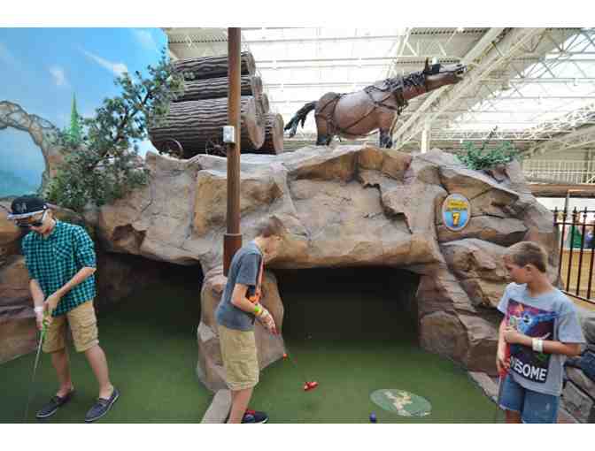 Mall of America Fun Package