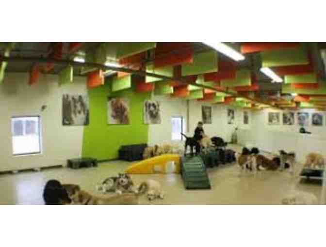Adogo Pet Hotels - (1) Overnight Stay + (1) Day of Daycare