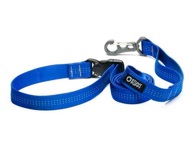 Stunt Puppy Leash & Collar Set - BLUE