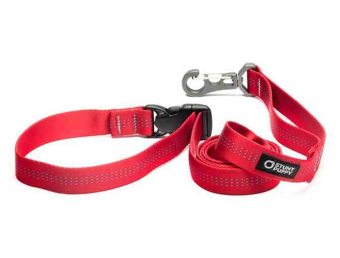 Stunt Puppy Leash & Collar Set - RED