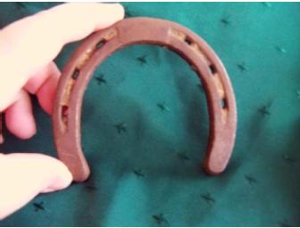 'Luck of the Irish' Basket with China Teapot Royal Tara Trellis Shamrock design